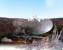 Open Space 2