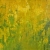 Oil oncanvas