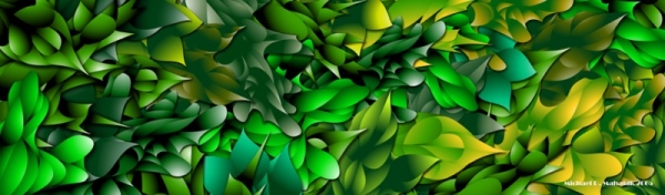 Summer Leaves