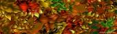 Autumn Leaves