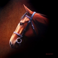 Ophra , Oil on canvas Ophra , Oil on canvas
