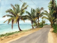 Anini Beach Road Anini Beach Road