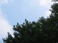 Untitled Photo