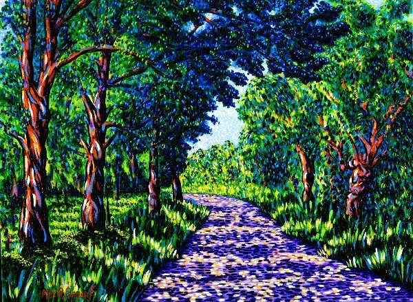 Shadows on French Country Road