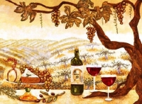 The Vineyard The Vineyard