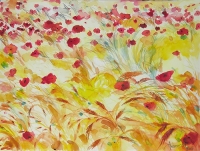 Poppies