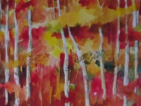 Nel bosco