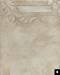 Designer Plaster Sample Designer Plaster Sample