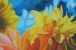 Mighty Flowers
