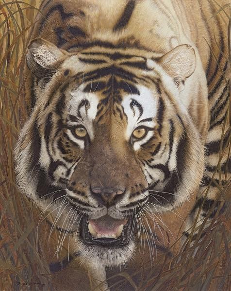 wildlife artist Frances Whitman