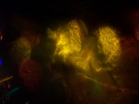 In the Dark